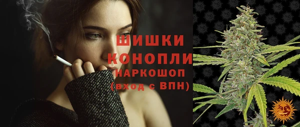 прущий лед Арсеньев