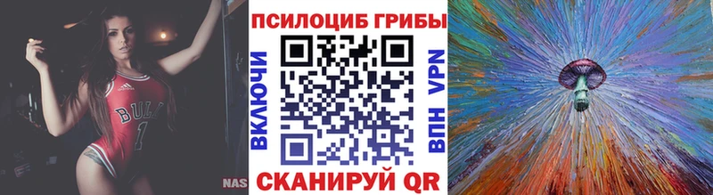 Псилоцибиновые грибы MAGIC MUSHROOMS ОМГ ОМГ ссылки Куйбышев