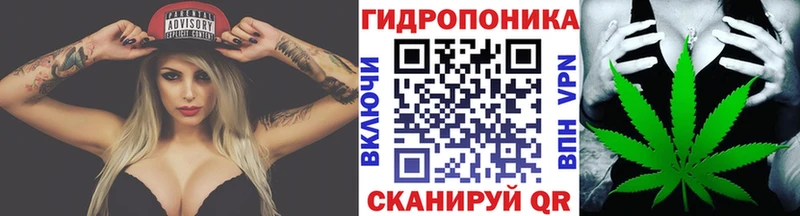 MEGA маркетплейс где можно купить Куйбышев Шишки марихуана индика